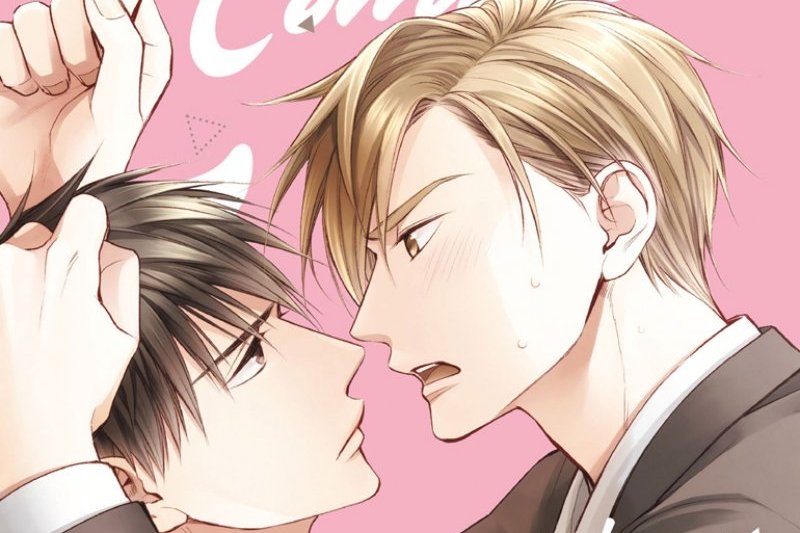 Série Comme dans un Shojo