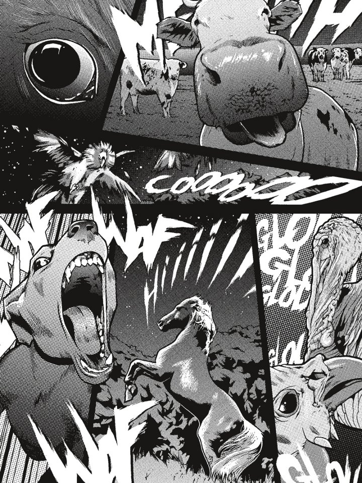 JPEG image/jpeg 720 x 1013