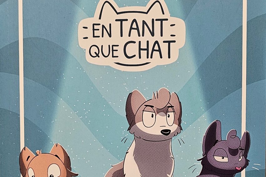 Série En tant que chat