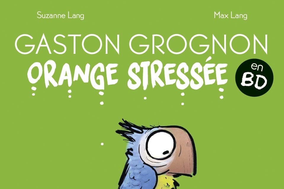 Série Gaston Grognon