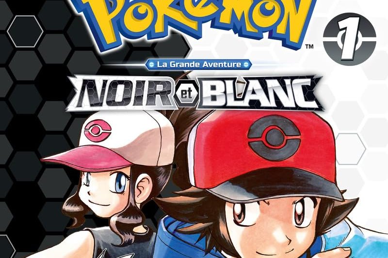 Série Pokémon Noir et Blanc Double