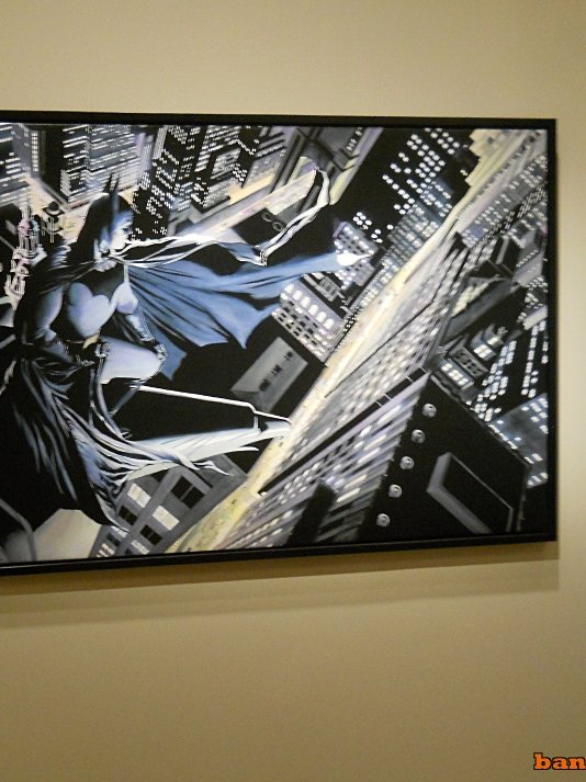 En photos : L'exposition SUPER-HÉROS : L'ART D'ALEX ROSS au Mona Bismarck American Center for art & culture (2014) - 04