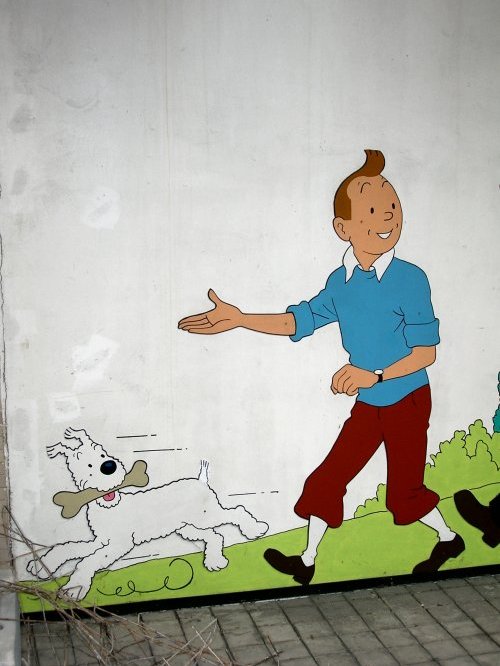 JPEG image/jpeg 500 x 668