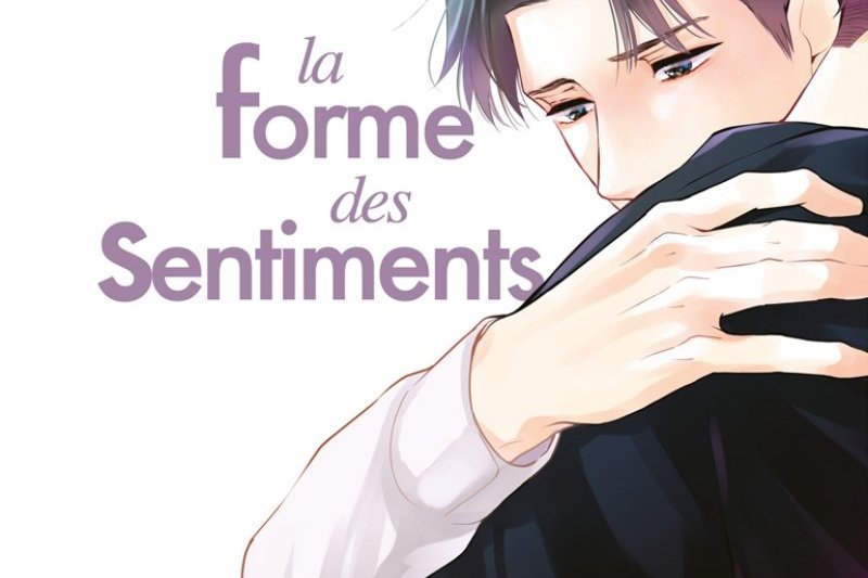 Série Forme des sentiments (La)