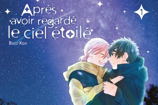 Série Après avoir regardé le ciel étoilé