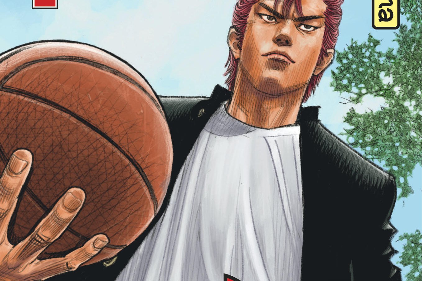 Série Slam Dunk Star edition