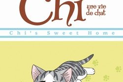 Série Chi - Une vie de chat